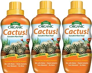 Best cactus fertilizer