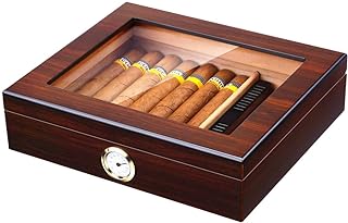 Best cigar humidor