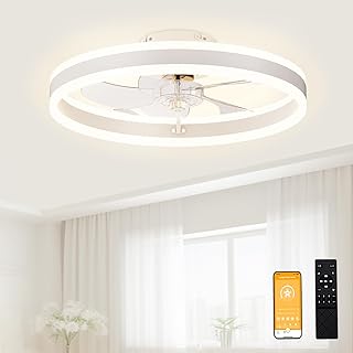 Best ceiling fans with bright lights