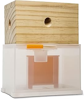 Best carpenter bee traps
