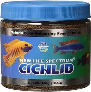 Best cichlid food