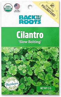 Best cilantro seeds