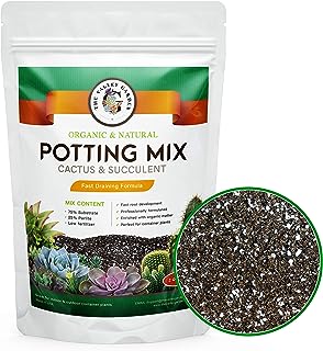 Best cactus potting mix