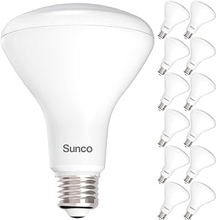 Best dimmable led recessed light bulbs