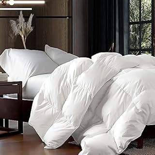 Best down comforter queen size