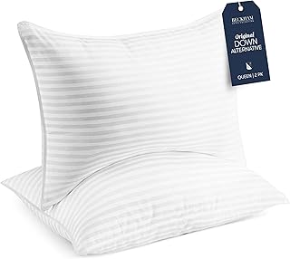 Best down pillows queen size set of 2