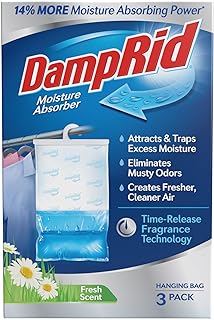 Best dampness odor eliminator