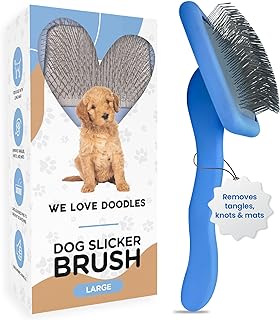 Best doodle brush