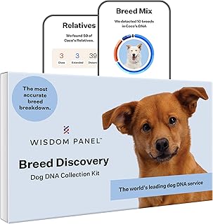 Best dog dna testing kit mixed breed