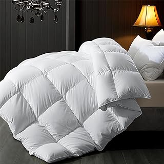 Best down duvet insert